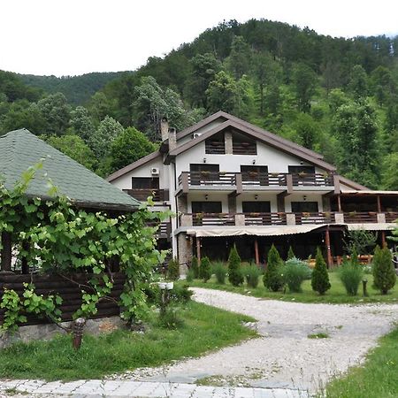 Pensiunea Valahia Brezoi Buitenkant foto