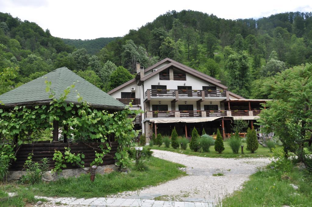 Pensiunea Valahia Brezoi Buitenkant foto