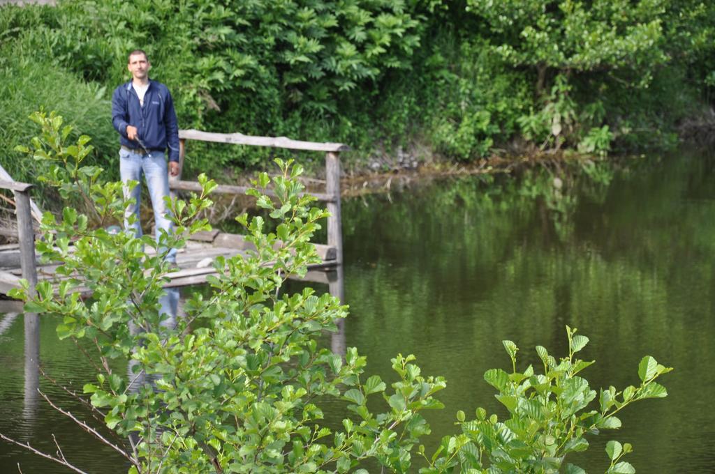 Pensiunea Valahia Brezoi Buitenkant foto