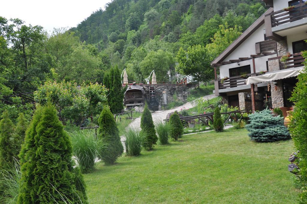 Pensiunea Valahia Brezoi Buitenkant foto